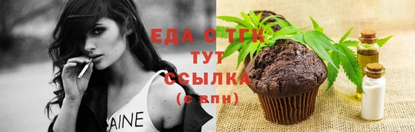 индика Нижний Тагил