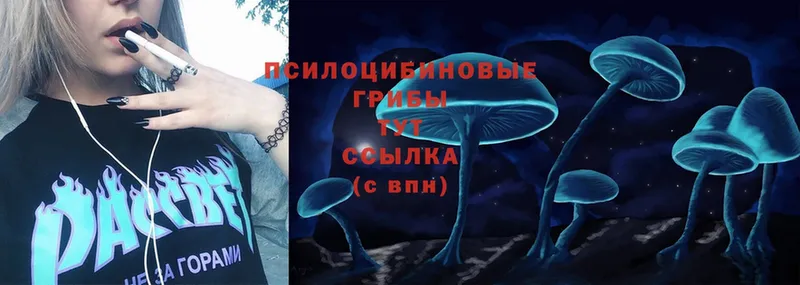 Галлюциногенные грибы Magic Shrooms  Пушкино 