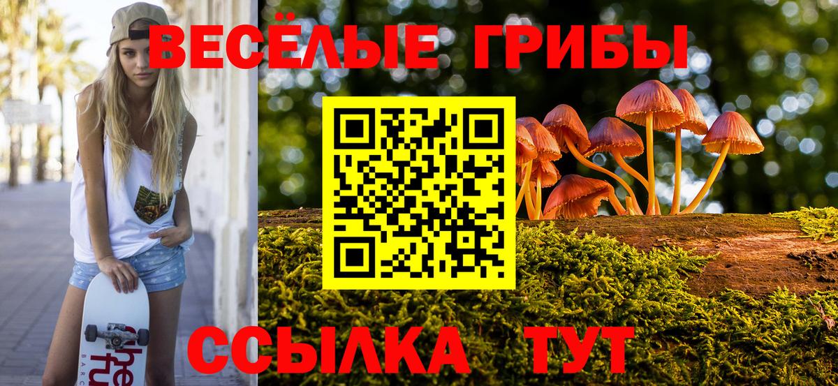 где можно купить наркотик  Галлюциногенные грибы Cubensis  Вход с VPN  Пушкино  Галлюциногенные грибы Psilocybine cubensis 