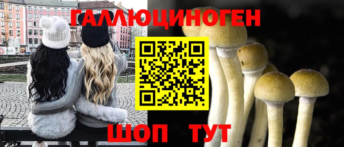 Галлюциногенные грибы MAGIC MUSHROOMS  Пушкино 